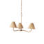 Delphine 3 - Light Chandelier