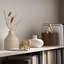 Animals Decorative Object