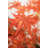 70'' Faux Maple Tree
