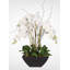 Real Touch White Phalaenopsis Orchids in a Black Metal Zinc Pot