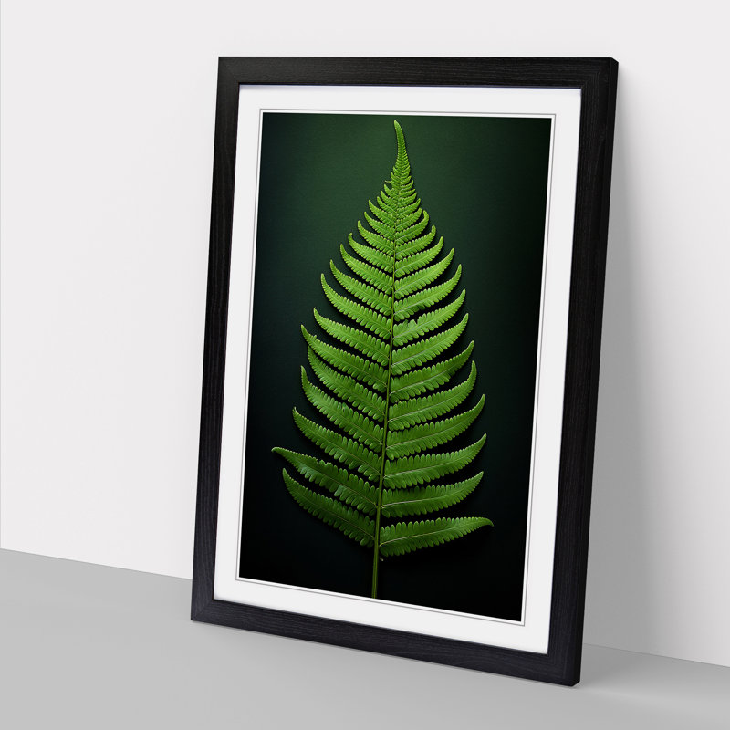 Fern Leaf Tachisme - Framed Print, Black, 34cm H x 25cm W x 2cm D