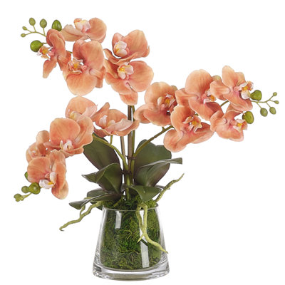 Real-Touch Orchid Phal, Orange, Moss Glass Vase