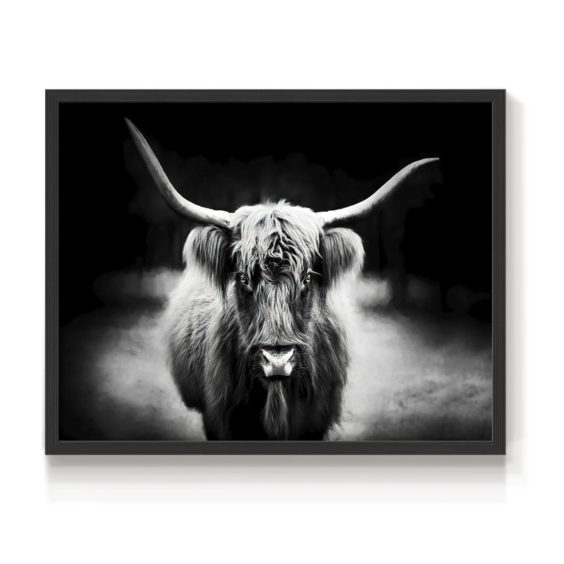 Photography Study Highland Cattle -Framed Print - Restickable