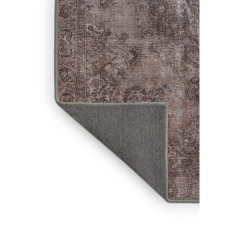 Riem Oriental Indoor Rug, Rectangle 2' x 4'