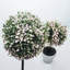 Artificial Tree in Pot