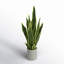 Artificial Sansevieria Snake Plant in Pot-1454465280