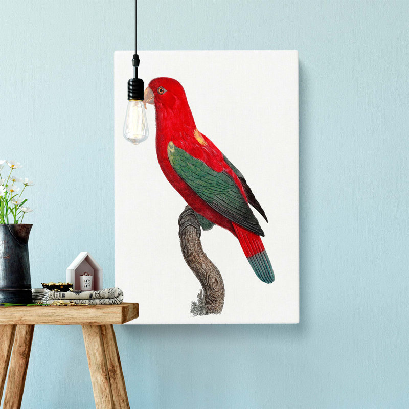 Chattering Lory by F. Levaillant - Wrapped Canvas, 76cm H x 50cm W x 3cm D