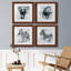 Proud Elephant - ensemble de 4 photos sur toile tendues-2050339036-2050339039