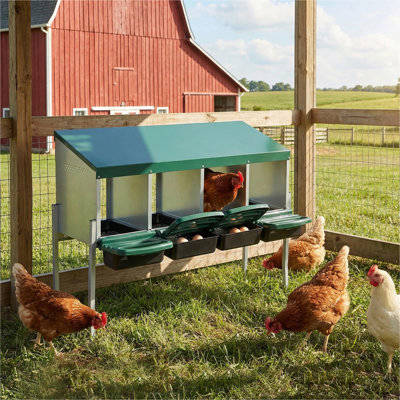 Nid de poule à 4 trous, avec pattes et couvercle pour protéger les œufs, vert