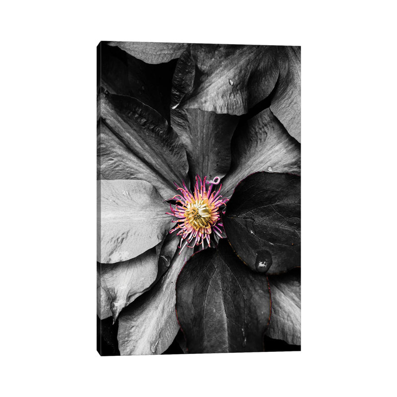 Just A Touch by Heidi Bannon - Wrapped Canvas Print