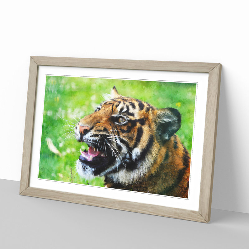Tiger Vol.1 - Picture Frame Graphic Art, Oak, 36cm H x 48cm W x 2cm D