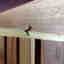 Customer photo 2 of 4