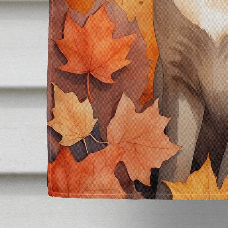 Chat en feuilles d'automne, Tonkinois