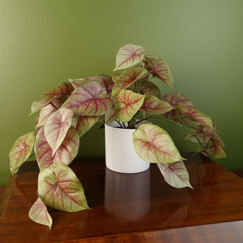 Foliage Plants 30 cm H Faux Ficus and Foliage Plant in Plastic Planter