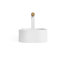 Pluck Large Caddy-1773856188