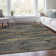 Premium Machine Washable Prisco Graphite Rug