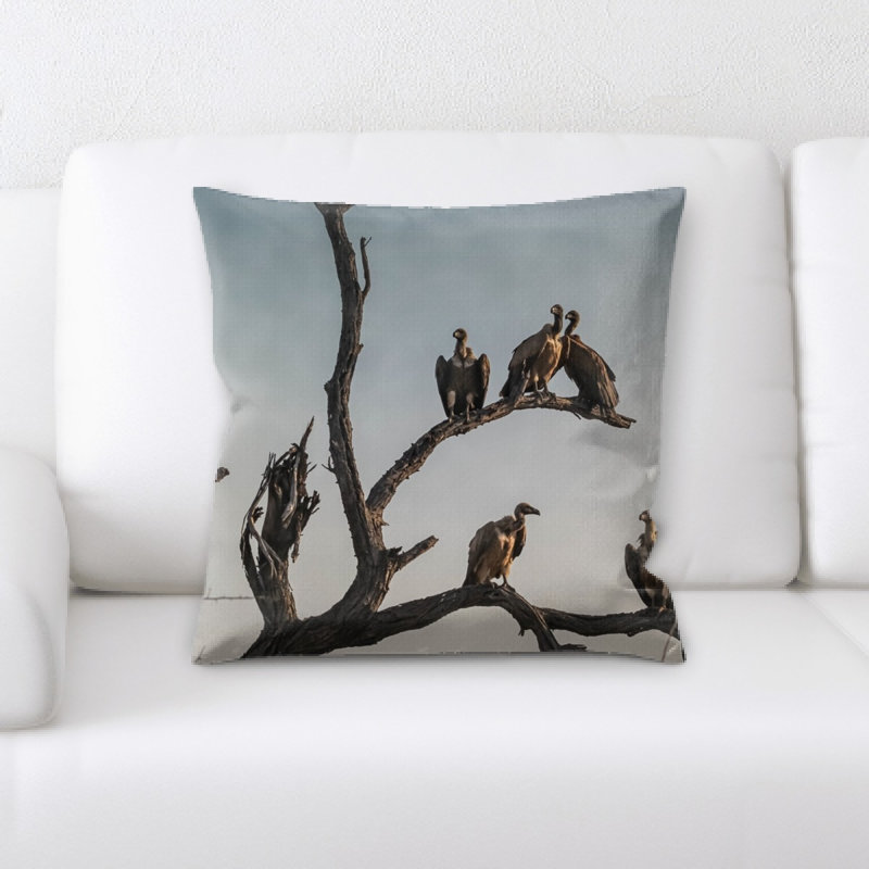 Coussin vultures