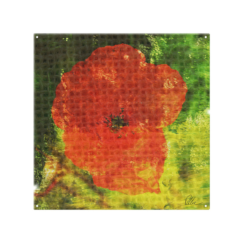 Glass Peel and Stick, 70cm L x 50cm W