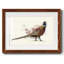 Pheasant Splash 2 - reproduction de cadre photo simple-391780987-391780980