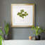 «Pressed Clover I», reproduction encadrée de qualité supérieure - prête à être accrochée-960426218-960426775