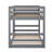 Bunk Bed With Ladder