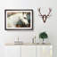 White Horse Portrait - Picture Frame Painting Print-56739173-56739169