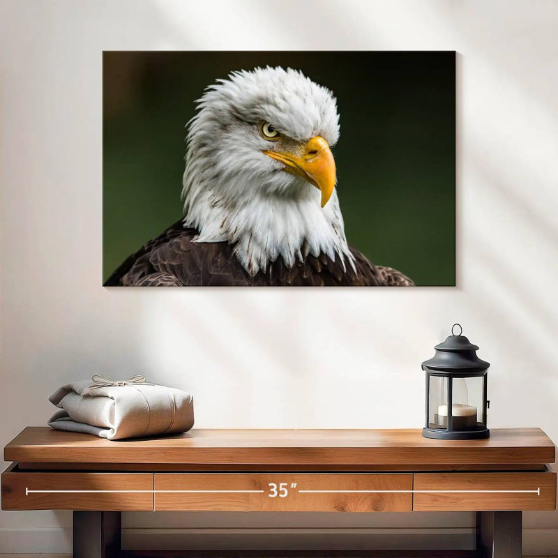 Brampt Bald Eagle Stare, 16" H x 24" W