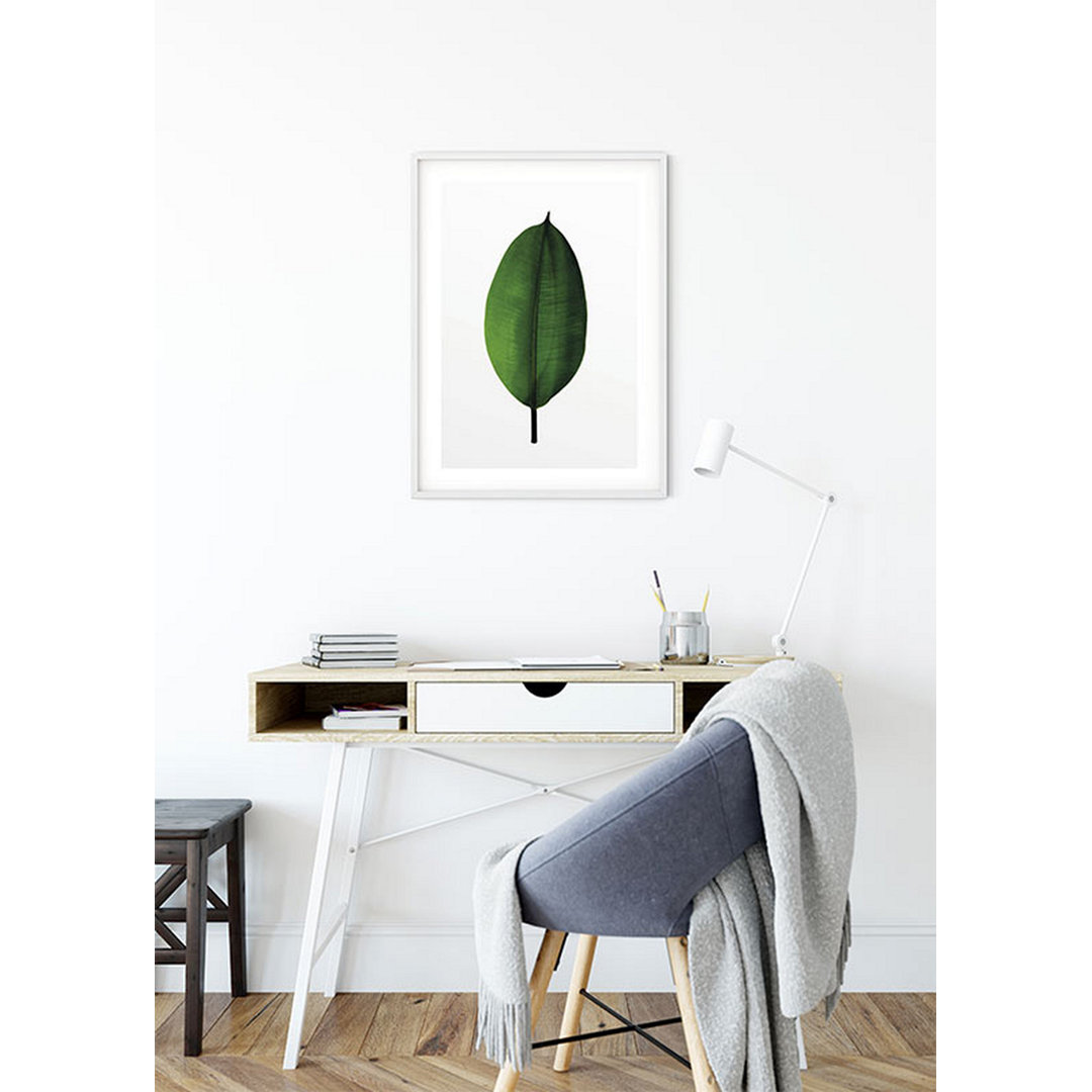 Poster Ficus Leaf