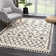 Adeen Shaggy Performance Tasseled Beige/Black Area Rug