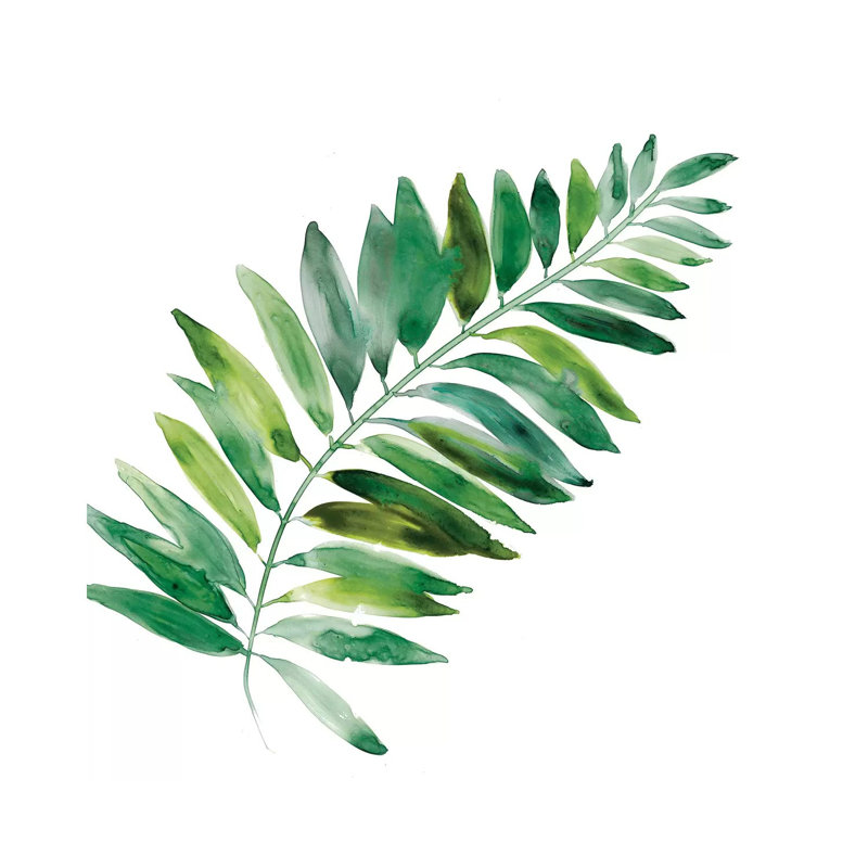 Tropical Frond II by Carol Robinson - Painting on Canvas, Wrapped Canvas, 66.04 cm H x 66.04 cm W x 1.91 cm D