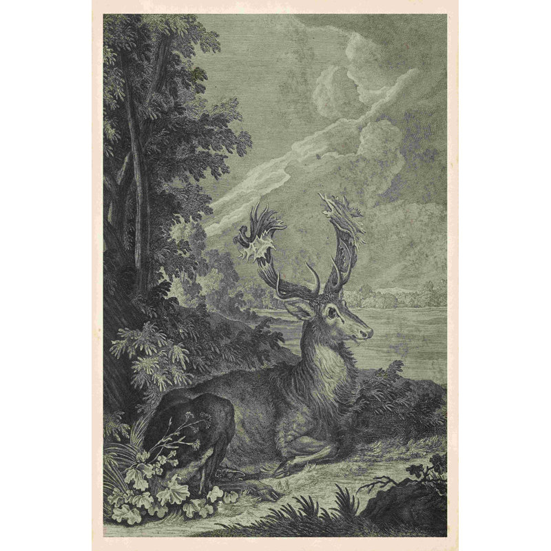 Woodland Deer III, H 18 po x l 12 po