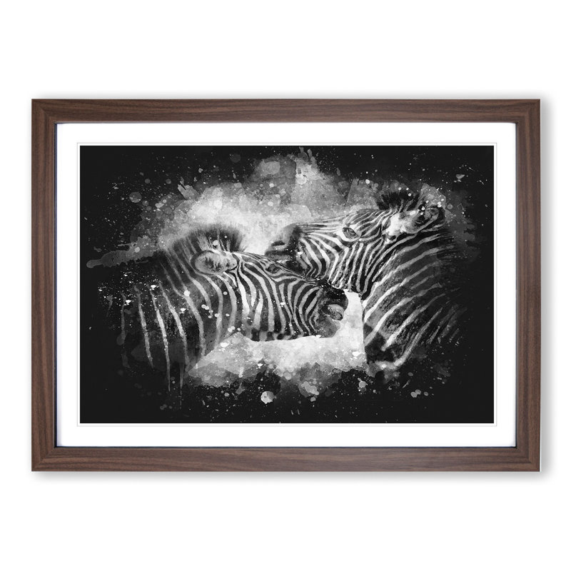 Zebras Vol.1 Paint Splash - Picture Frame Graphic Art, Walnut, 36cm H x 48cm W x 2cm D