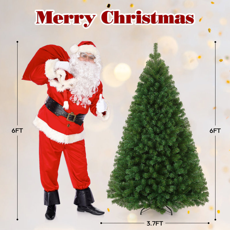 6' Lighted Spruce Christmas Tree