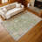 Machine Washable Indoor/Outdoor Matsumura ACN2302 Global Rug-641435445