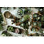 Ensemble de photophore en verre et bois fondu 2 pièces