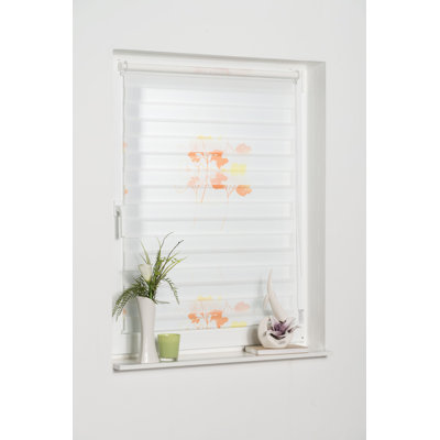 Day and Night Sheer Roll -up Blind