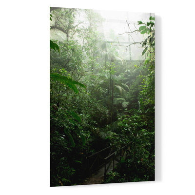 Art mural en verre Loon Peak «Into The Cloud Forest» par Nicklas Gustafsson