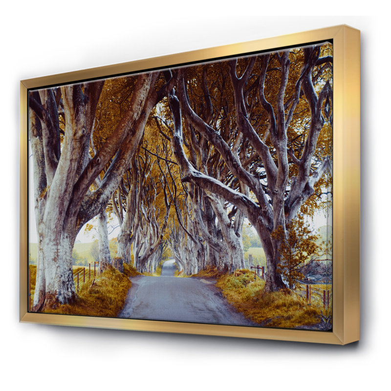 Majestic Tree Alley - reproduction de photo sur toile, H 36 po x l 46 po x P 1,5 po, Toile avec cadre doré