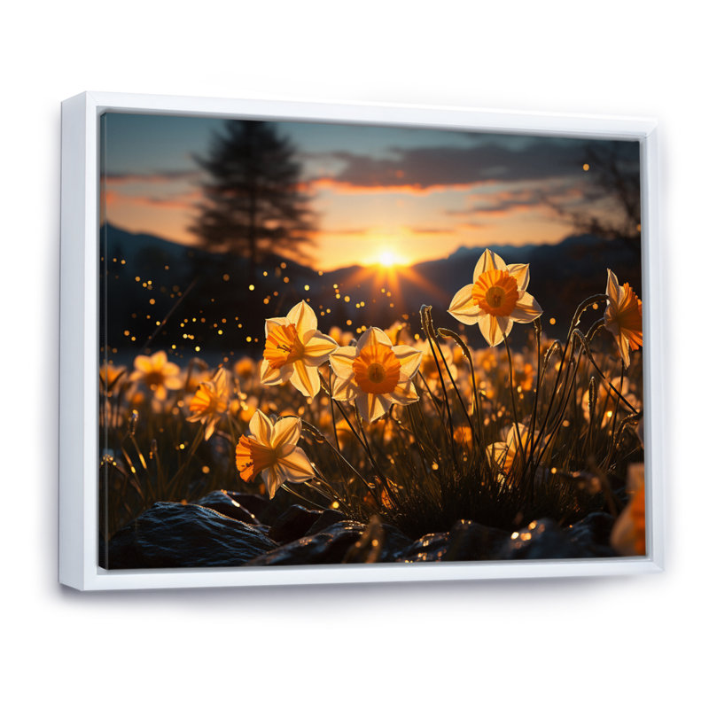Daffodils Field Sunset I - impression, 30" H x 40" W, Cadre flottant blanc