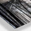 «Sunbeam Through Black White Forest», photographie-35125684-113143484