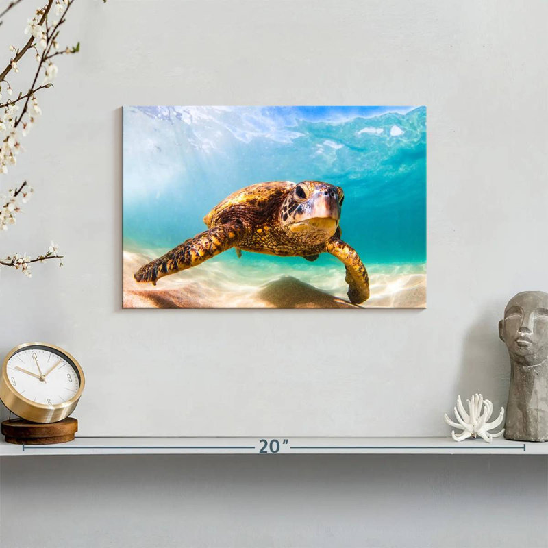 Tortue hawaïenne Crowle, H 8 po x l 12 po