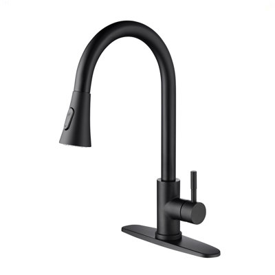 Kitchen Faucet With Pull Out Spraye