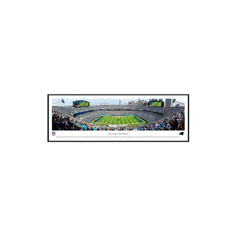 Impression panoramique de football Carolina Panthers, H 13,75 po x l 40,25 po x P 0,38 po, Cadre noir