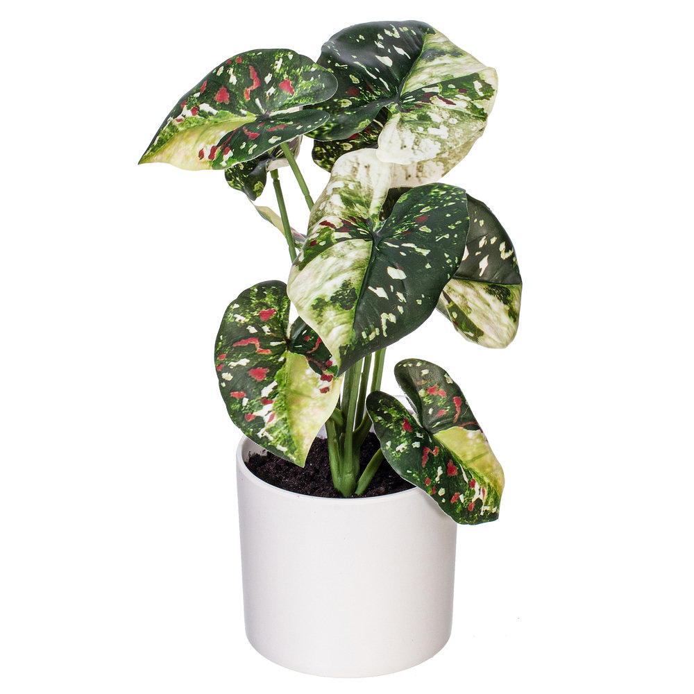 11.5'' Faux Foliage Plant in Pot, Green