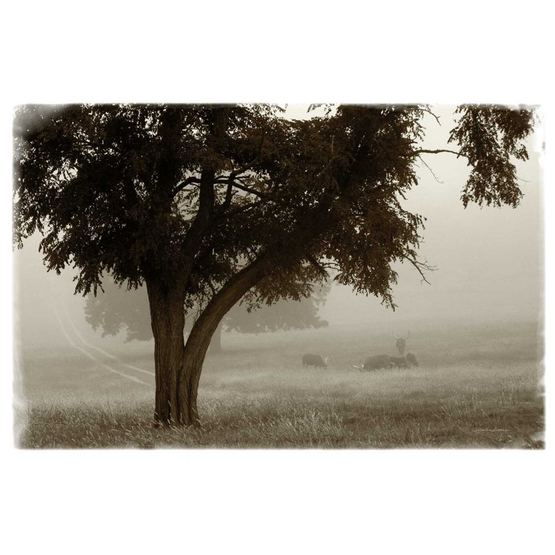 Brume calme, H 32 po x l 48 po x P 1,25 po
