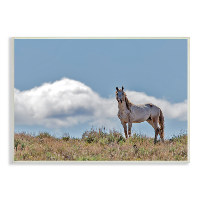 Cheval sauvage debout fort le long du ciel nuageux de jour - photographie, H 10 po x l 15 po, Plaque murale