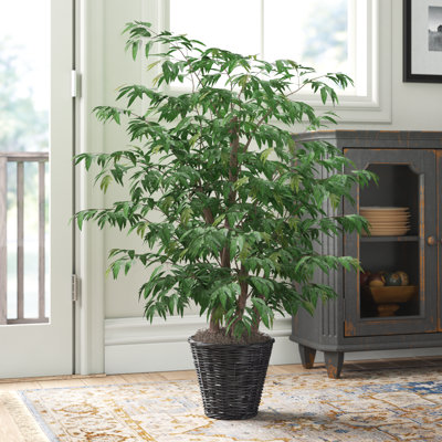 48'' Faux Tree in Wicker/Rattan Basket
