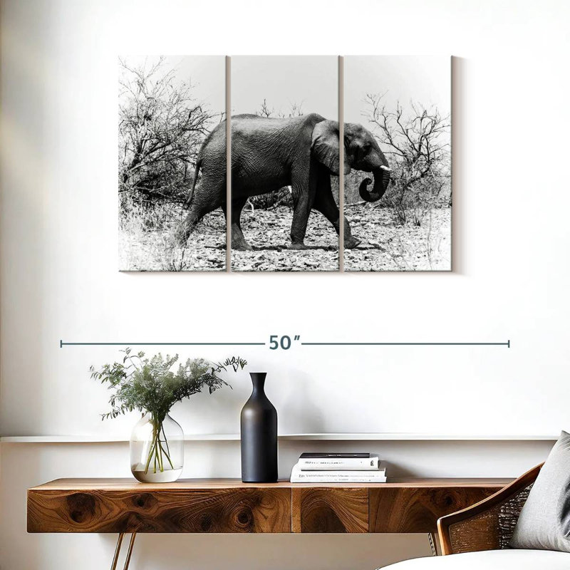 Éléphant d'Afrique au Botswana, H 24 po x l 38 po
