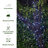 Jovanne 200 - Bulb 72' Solar Powered LED Mini String Light