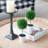 Set of 3 Mini Topiaries in Decorative Pots